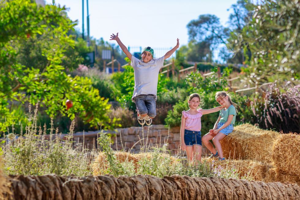 צילום של יום של כיף בטבע בחווה שבגיא מבית עיר דוד