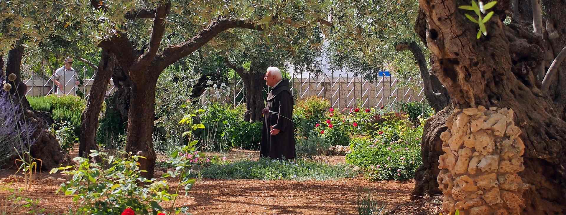 photo of The Garden of Olives - Gethsemane