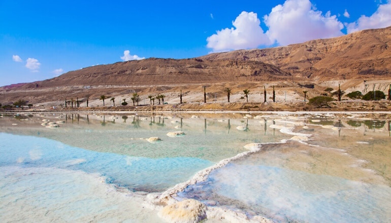 photo of Dead Sea Relaxation 1 Day Tour