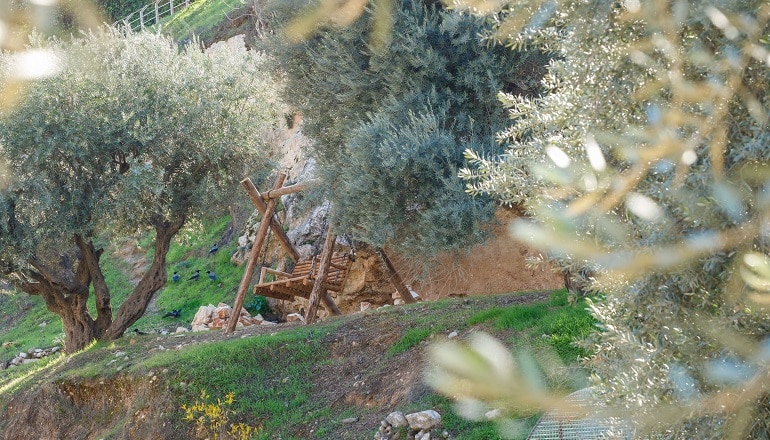 photo of National Park Farm In The Valley City Of David