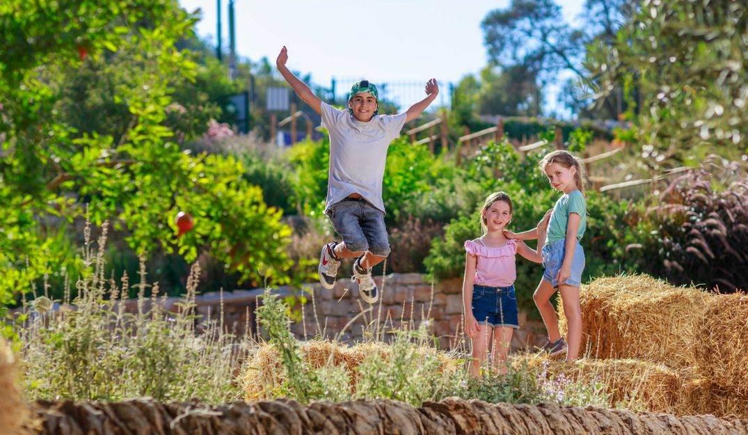 צילום של פעילויות פסח בעיר דוד