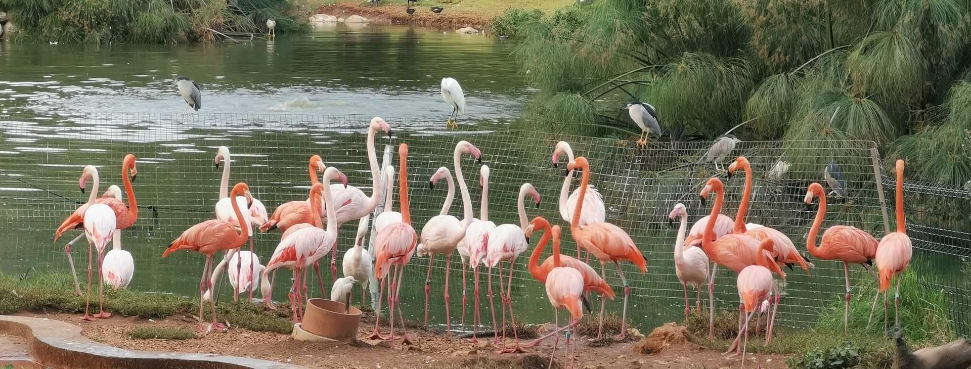 photo de Zoo Biblique de Jérusalem