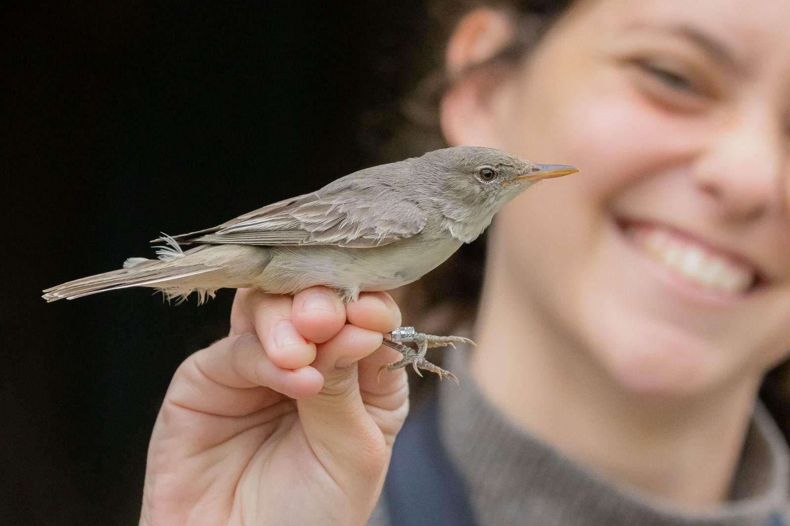 צילום של התחנה לחקר ציפורי ירושלים ע"ש נילי ודוד