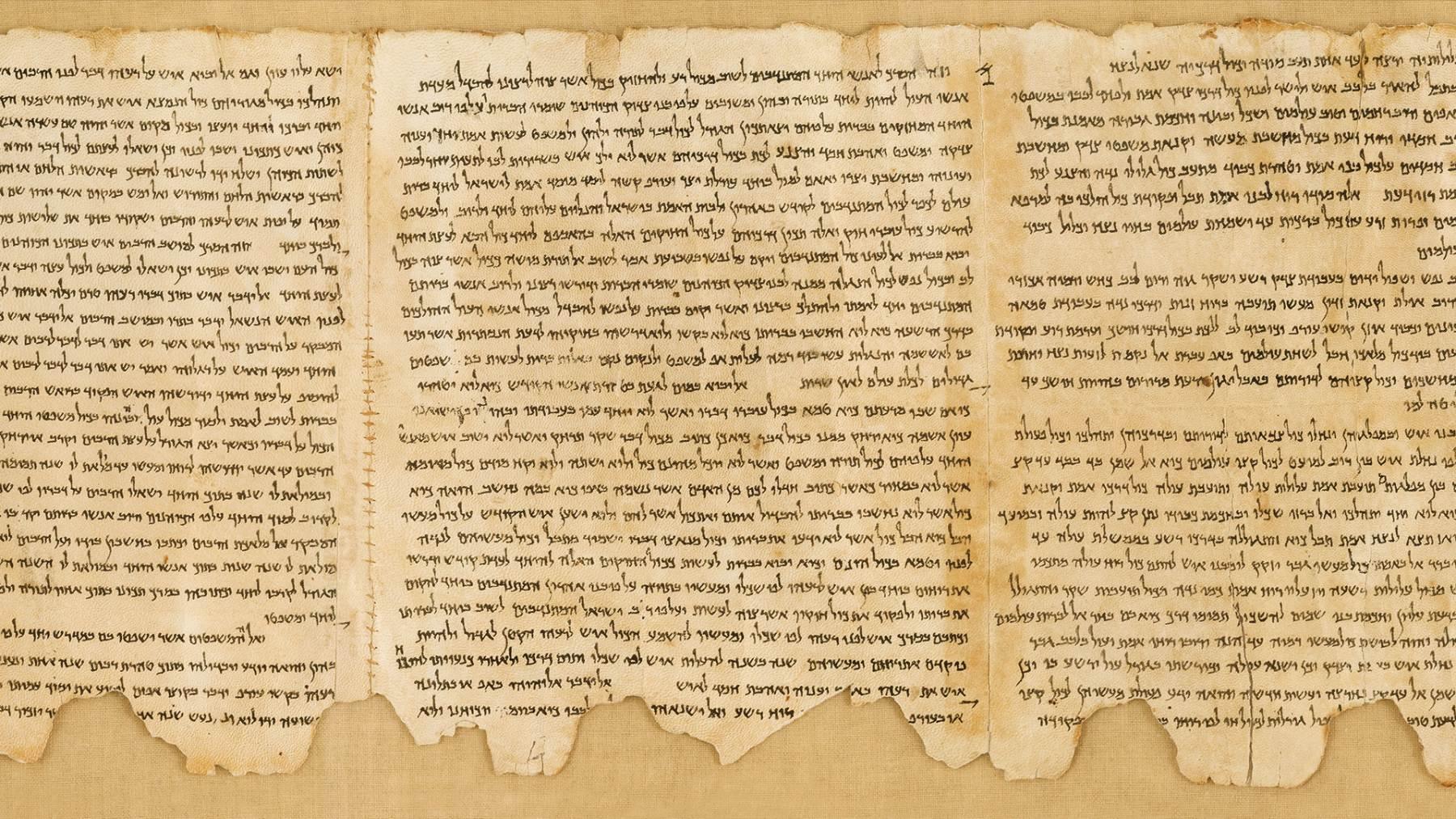 photo of New exhibition at the Israel Museum