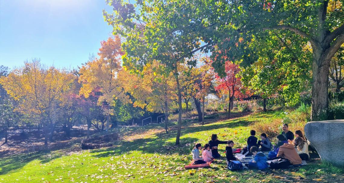 photo of The Jerusalem Botanical Gardens