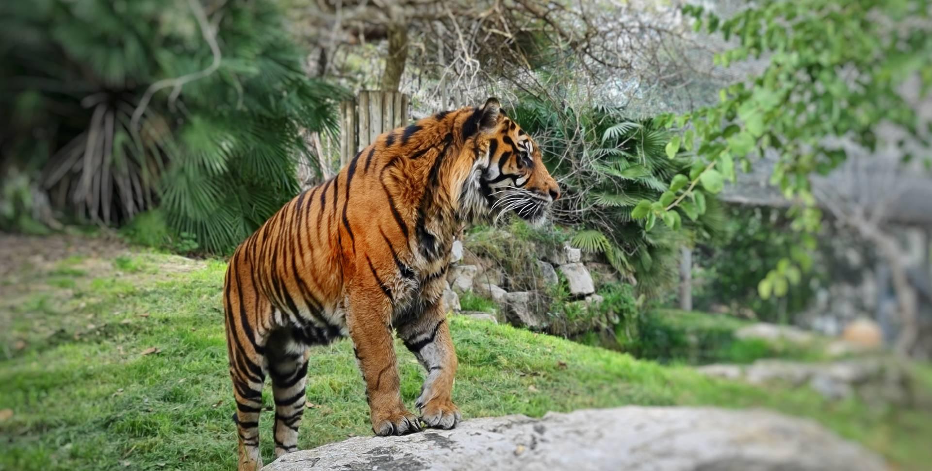 photo of Jerusalem Biblical Zoo