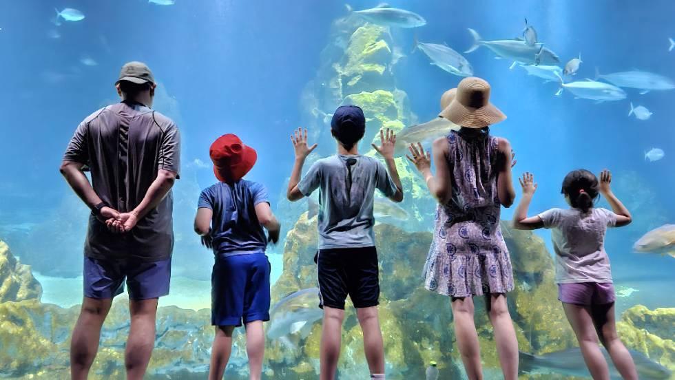 Photo: Israel Aquarium