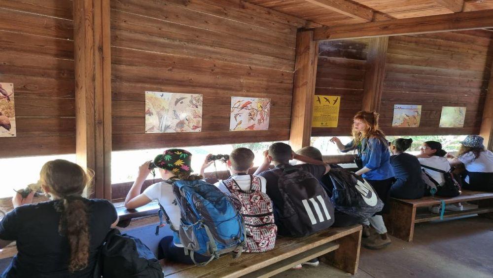 צילום: יותם בשן