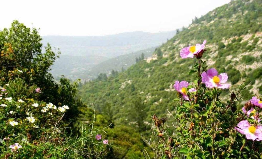 סיור עצמאי בנחל קטלב