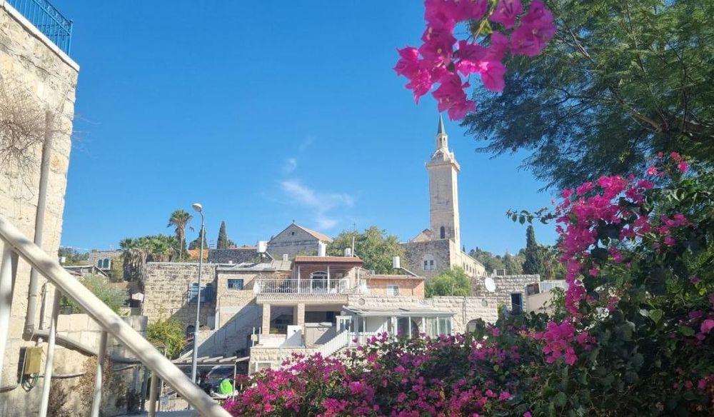 סיור בוטיק מודרך בעין כרם: פסטורליה, טבע ואומנות עם טלי יהושע