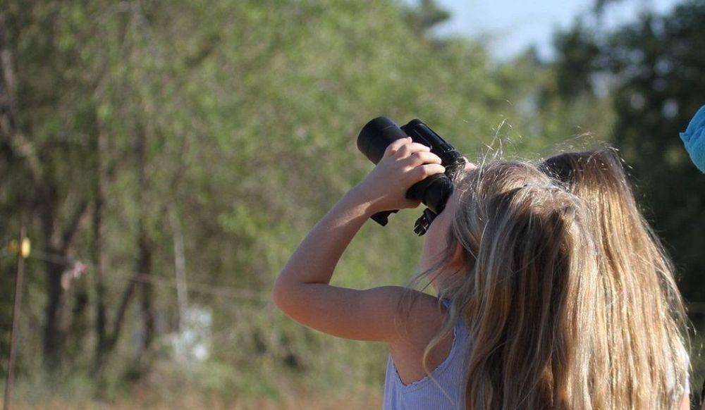 צילום: יונתן מירב