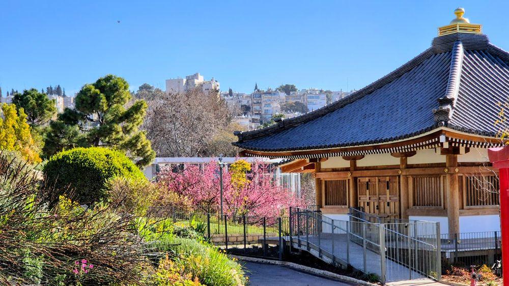  פסטיבל הסאקורה וחודש תרבות יפן | פברואר בגן הבוטני