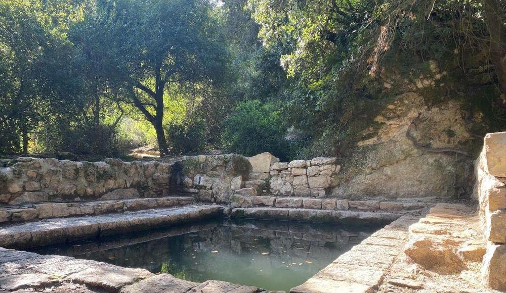 שמורת טבע עין טייסים