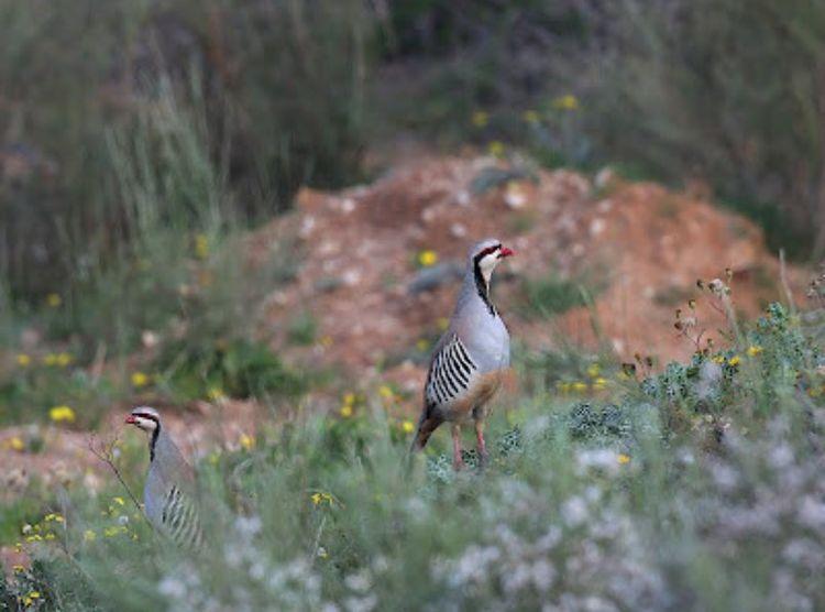 Photo by: Yoav Perlman