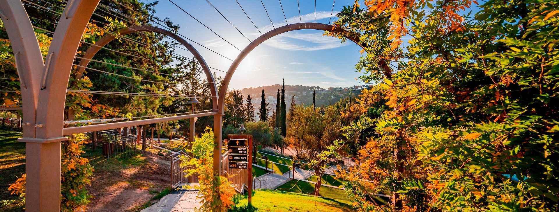 photo of B&B experience in Jerusalem's Peace Forest