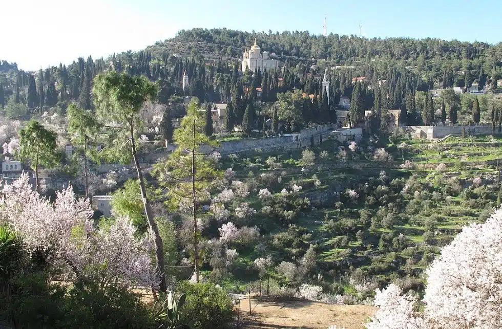 מבקרים בעין כרם