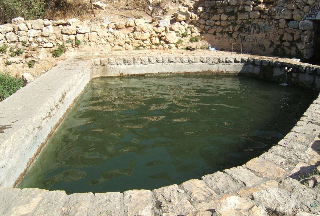 צילום של שמורת טבע ומעיין ליפתא