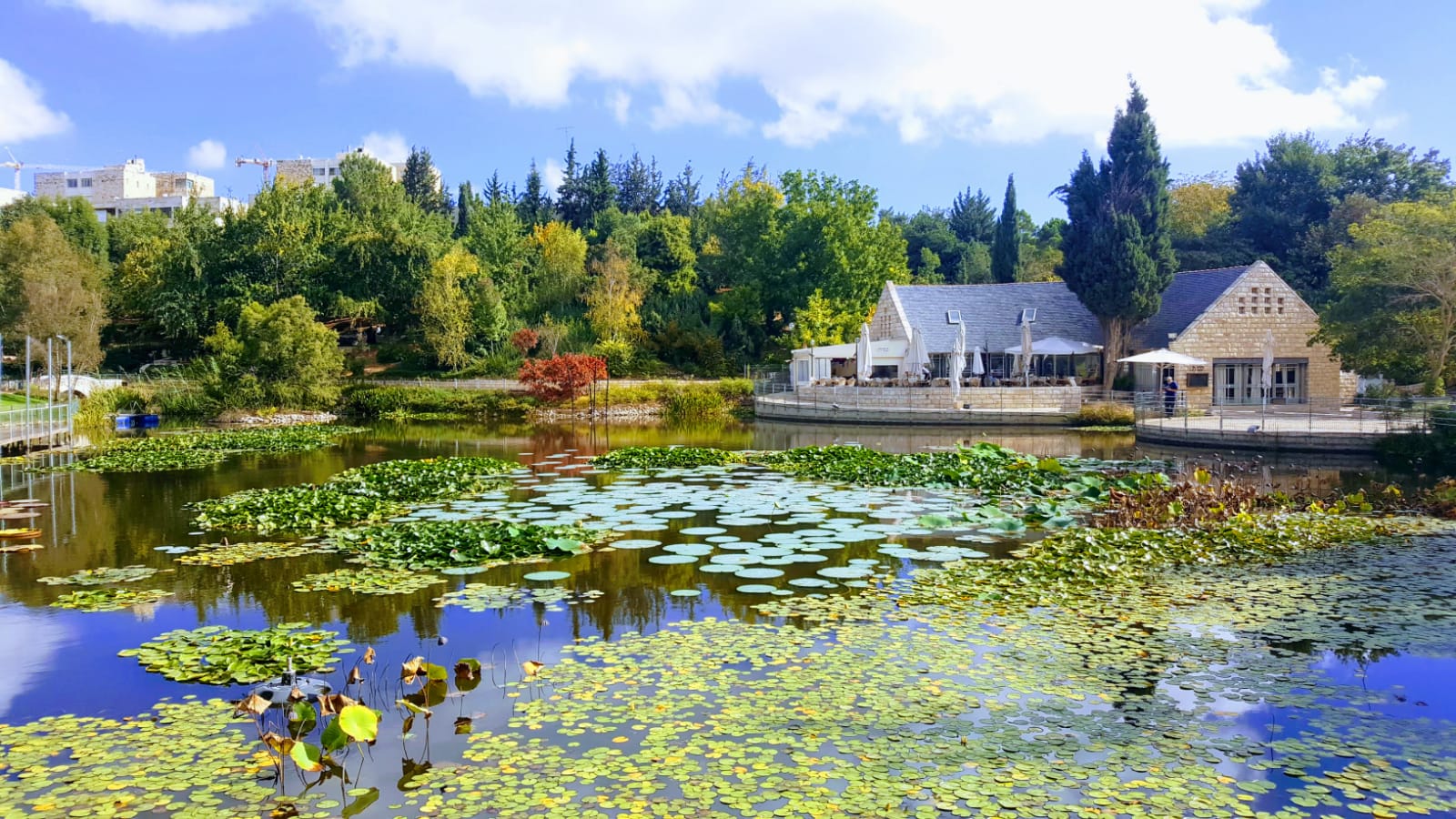 photo of The Jerusalem Botanical Gardens