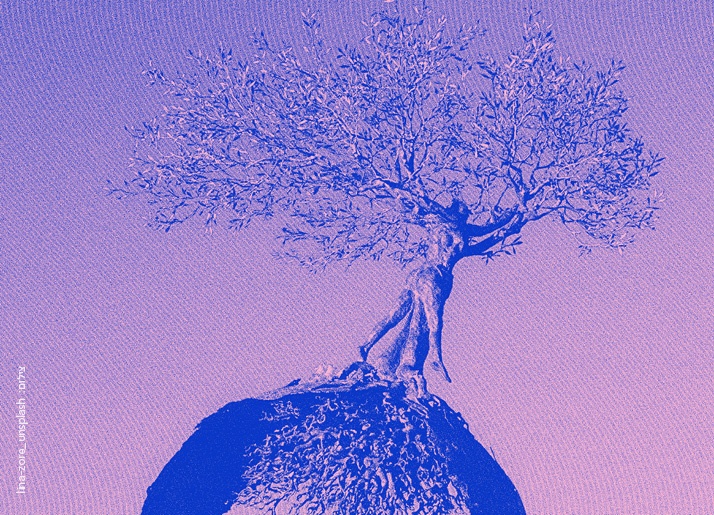 צילום של לשוב הביתה