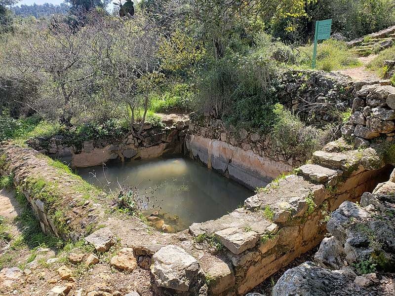צילום של סיור עצמאי בחרבת סעדים ויד קנדי