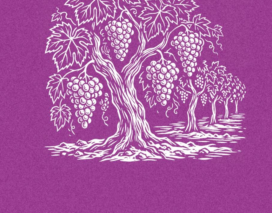 צילום של זום בבית אבי-חי - מנשיקות פיהו: קריאות זוהריות על זוגיות ואהבה 