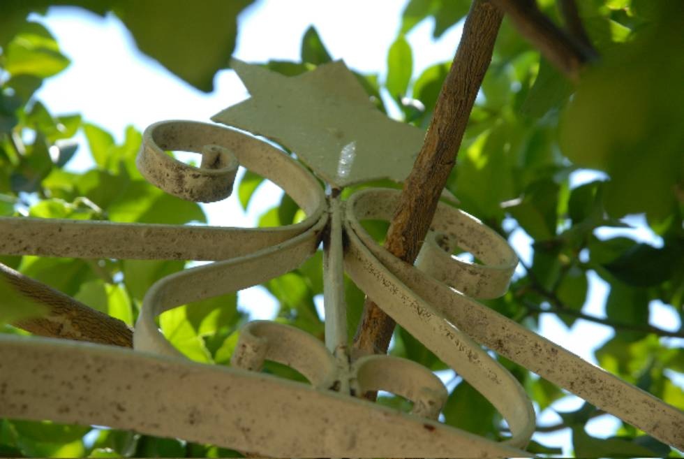 צילום של שכונת בתי ניסן ב"ק