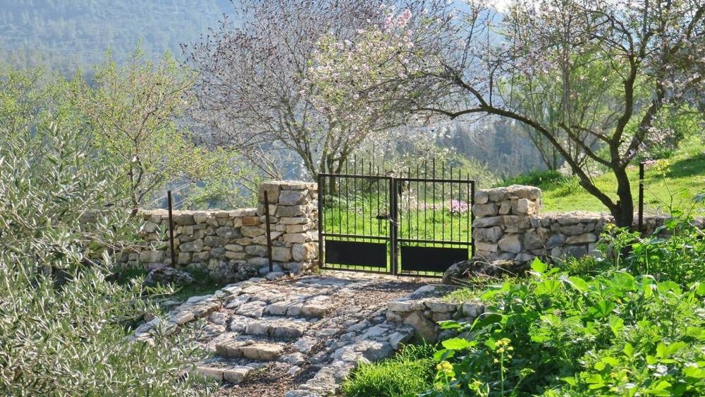 photo of Nissim Argaman