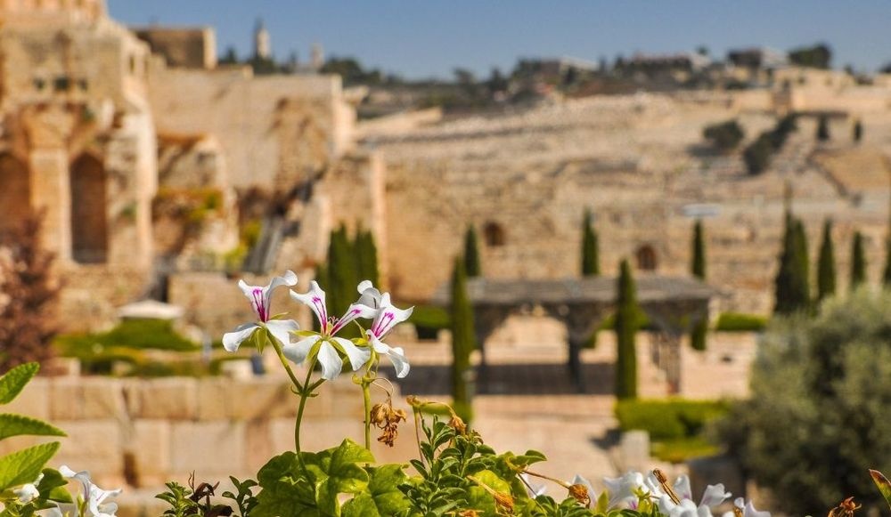 צילום של סיור מודרך אל ימי בית המקדש בגן הארכיאולוגי - מרכז דוידסון