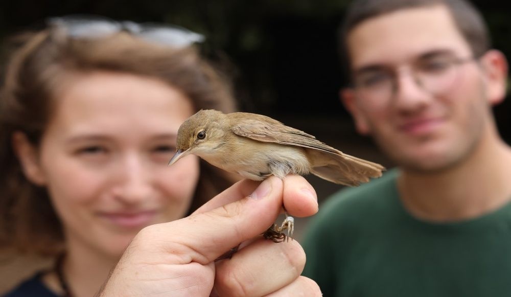 צילום של התחנה לחקר ציפורי ירושלים ע"ש נילי ודוד