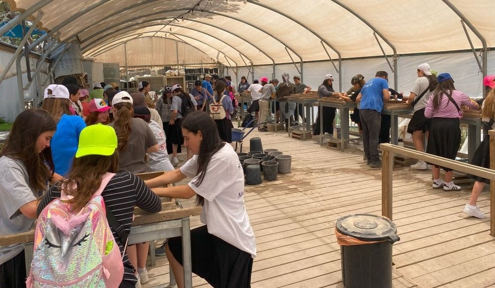 photo of The Temple Mount Sifting Project: A Hands-On Adventure in Archaeology