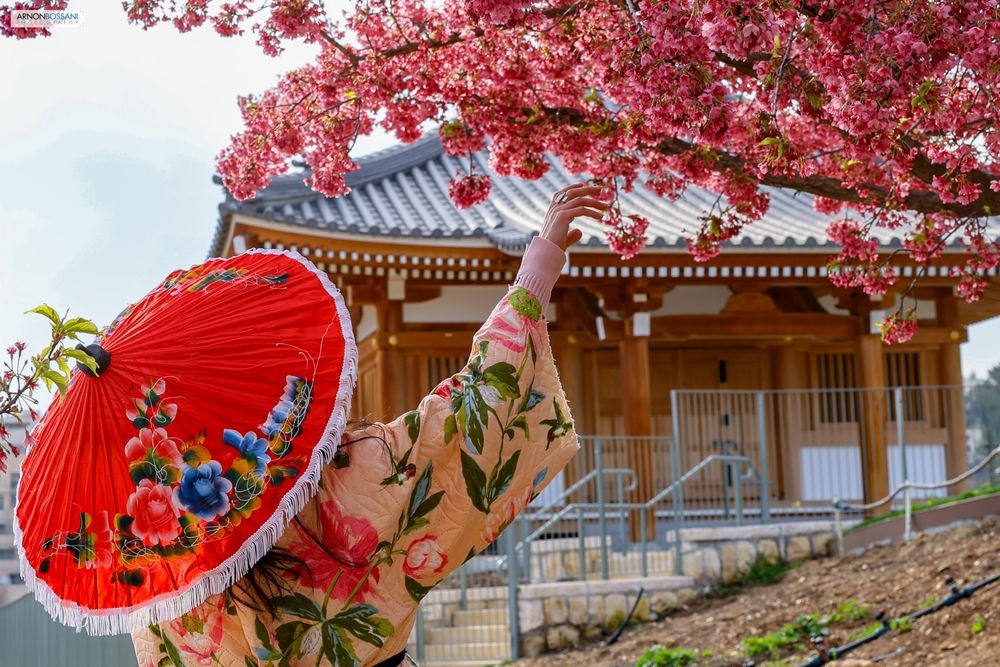 צילום של  פסטיבל הסאקורה וחודש תרבות יפן | פברואר בגן הבוטני