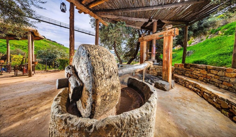 צילום של לסייר עם חוקר: סדרת סיורים ייחודית בדרך עולי הרגל מבית עיר דוד