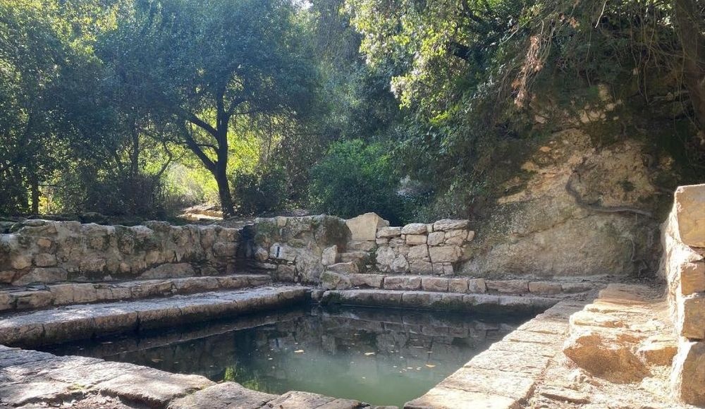 צילום של שמורת טבע עין טייסים