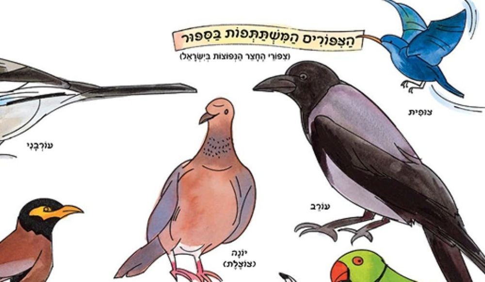 צילום של צִיפִּי וְצוּף- מופע סיפור בבית אבי חי