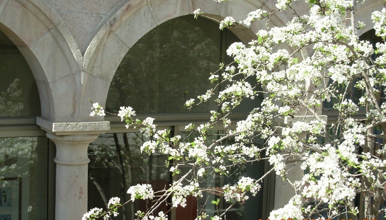 צילום של סיור בשכונת בקעה