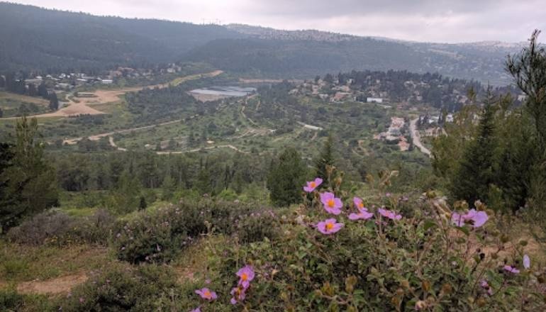 photo of Zippori Center Tour of Jerusalem Forest