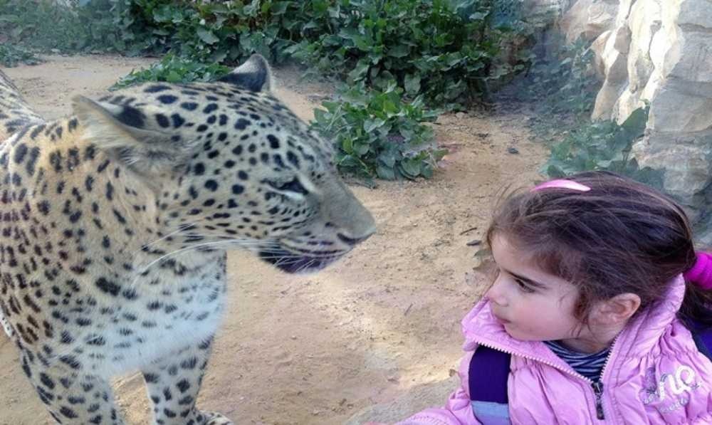 фотография Библейский зоопарк