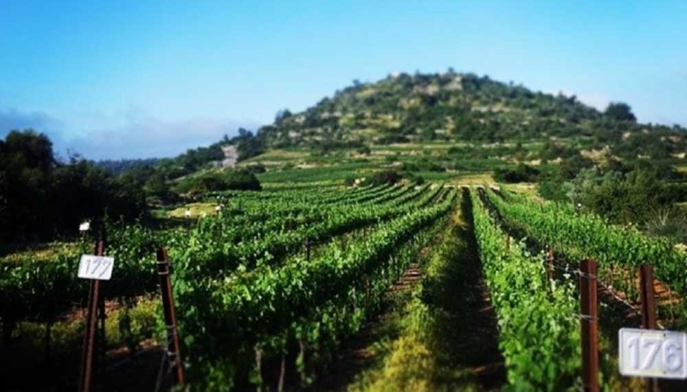 photo of Tzuba Hotel