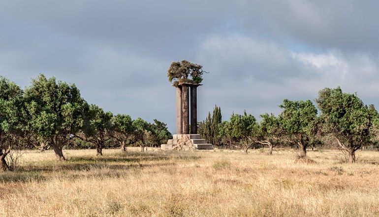 photo of Park of Olives