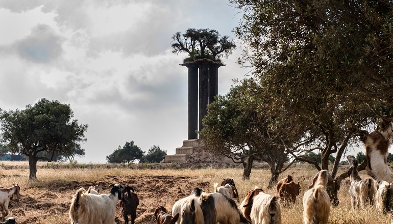 photo of Park of Olives