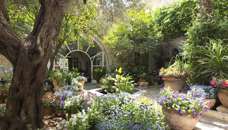 photo of American Colony Boutique Hotel