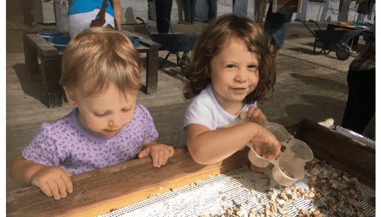 photo of Join The Temple Mount Sifting Project & Reveal Jerusalem’s Buried Secrets