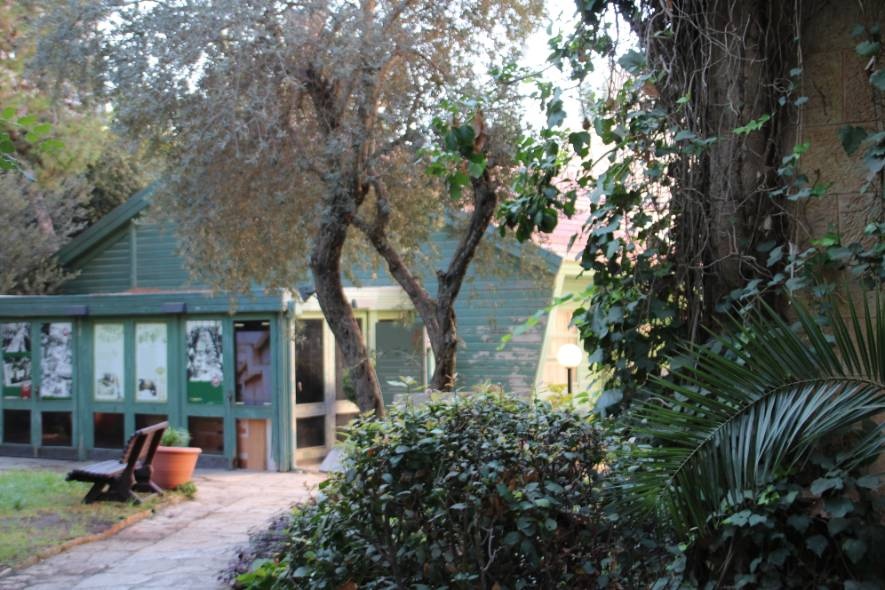 צילום של נשים ברחביה – סיפורן של נשים פורצות דרך בלב ירושלים 