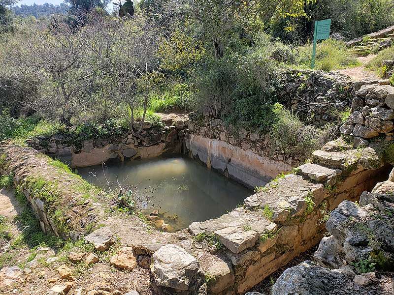 צילום של סיור עצמאי בחרבת סעדים ויד קנדי