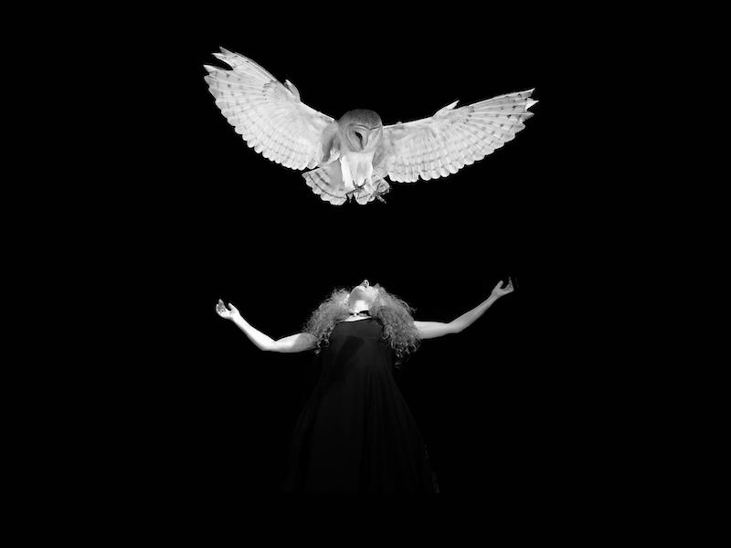 Foto von Das Musrara Mix Festival 2025