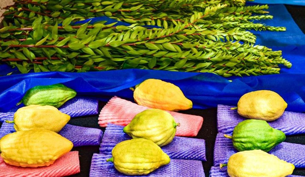 photo of Four Species Market