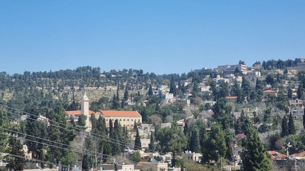 צילום של סיור בוטיק מודרך בעין כרם: פסטורליה, טבע ואומנות עם טלי יהושע