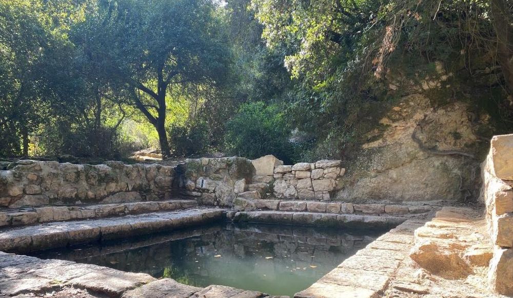 צילום של שמורת טבע עין טייסים