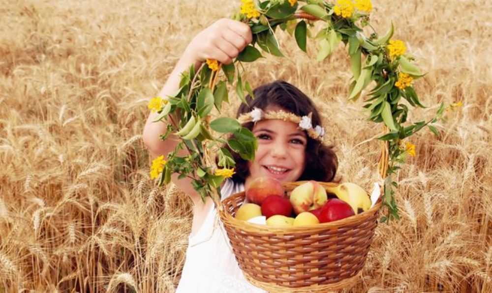 photo of Shavuot in Jerusalem 2026 – Complete Visitor Guide