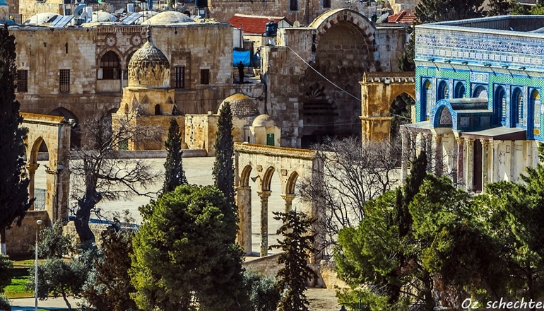 צילום של סיור בעקבות טורקיה העות'מאנית דרך הסולטניות החזקות